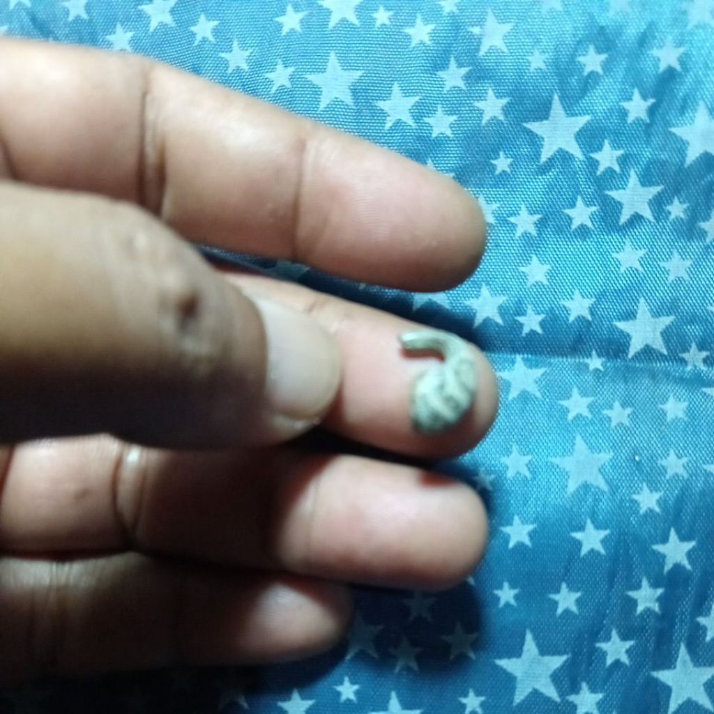 timah kabudan temuan