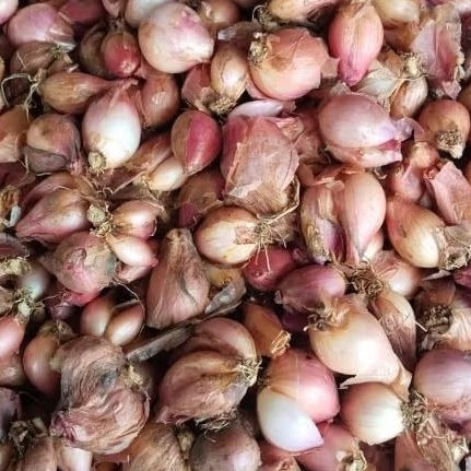 

Bawang Merah Premium 250g