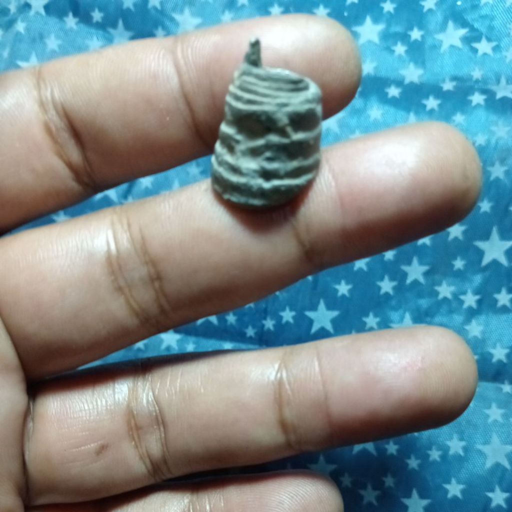 temuan timah kabudan