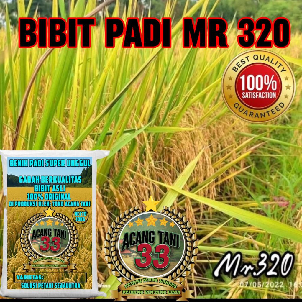 BRNIH PADI MR 320 BERKUALITAS UNGGUL KEMASAN 10.KG