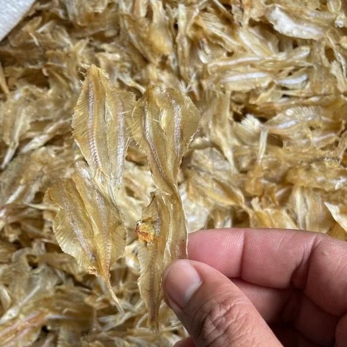 

Kalapan belah tawar / ikan pakang belah tawar kualitas super