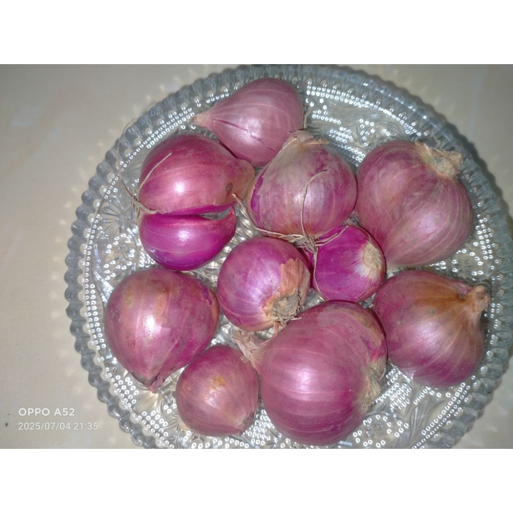 

Bawang Merah, Brambang Abang