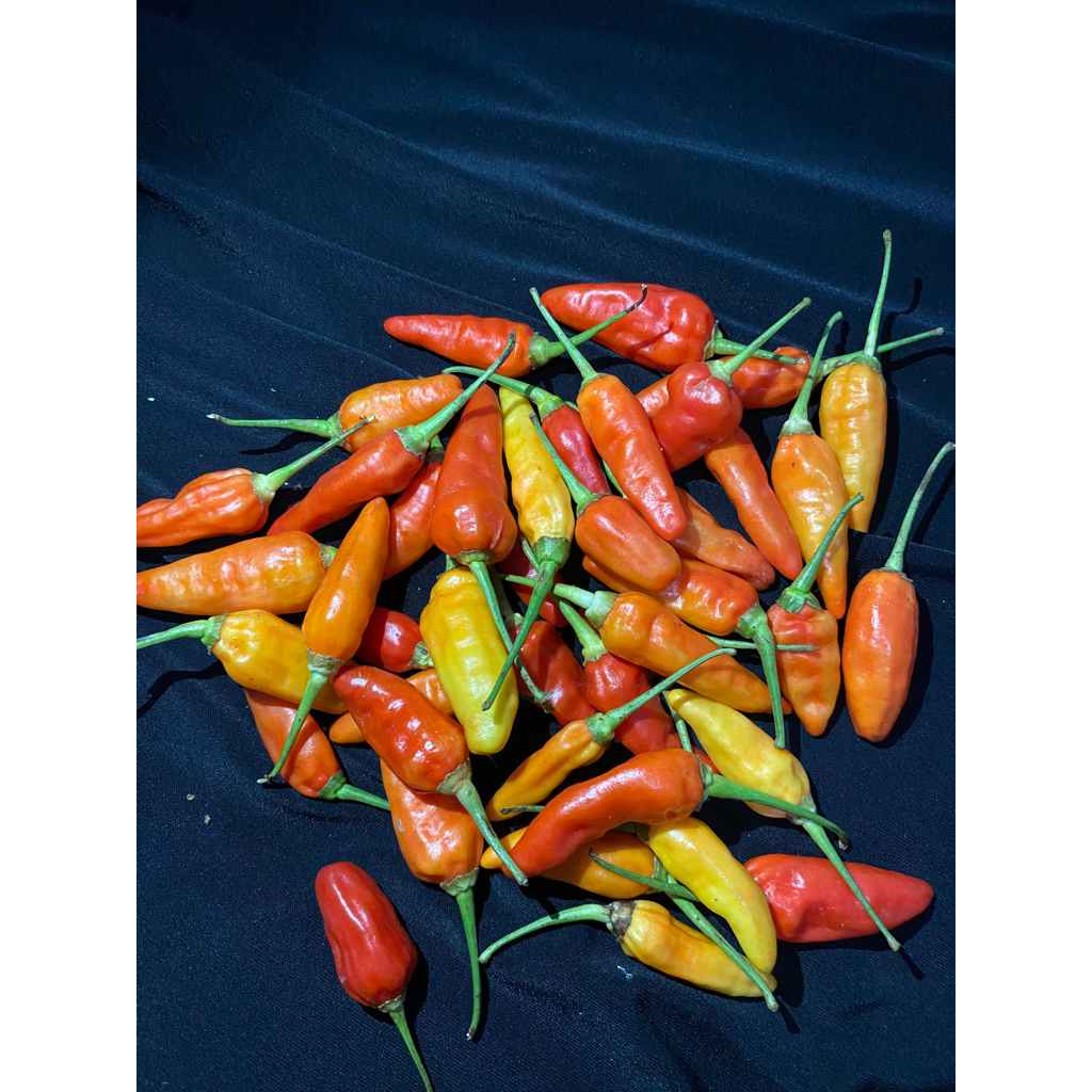 

CABE RAWIT PRENTOL berat 500gr