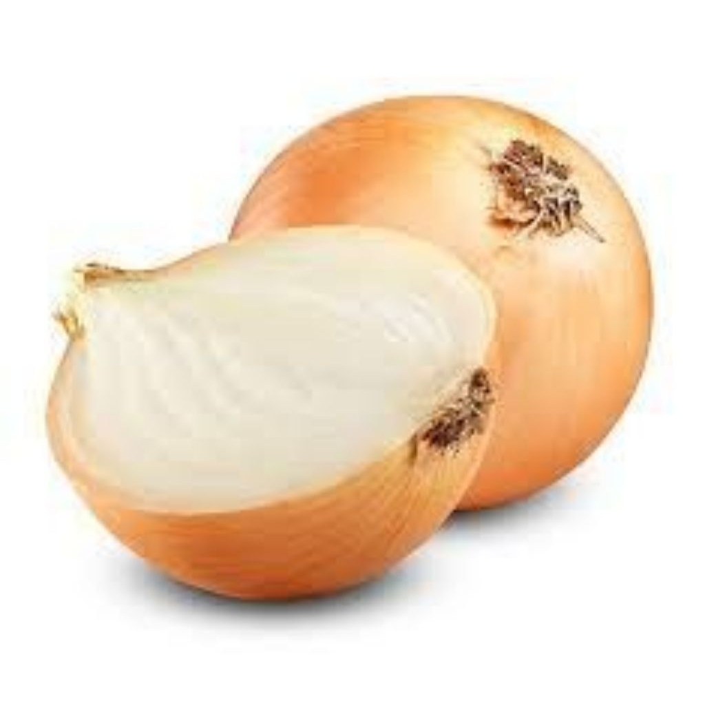 

500gr bawang Bombay fresh