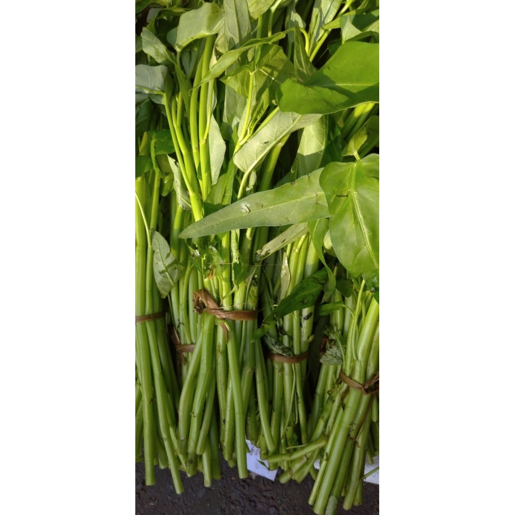 

Sayur Kangkung CahKangKong segar per ikat