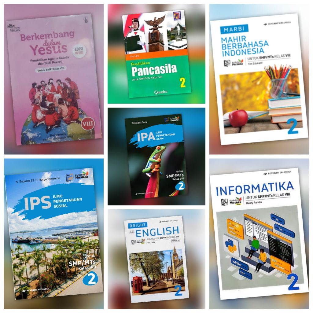 Buku Pelajaran Kelas 8 SMP Meter Dei erlangga
