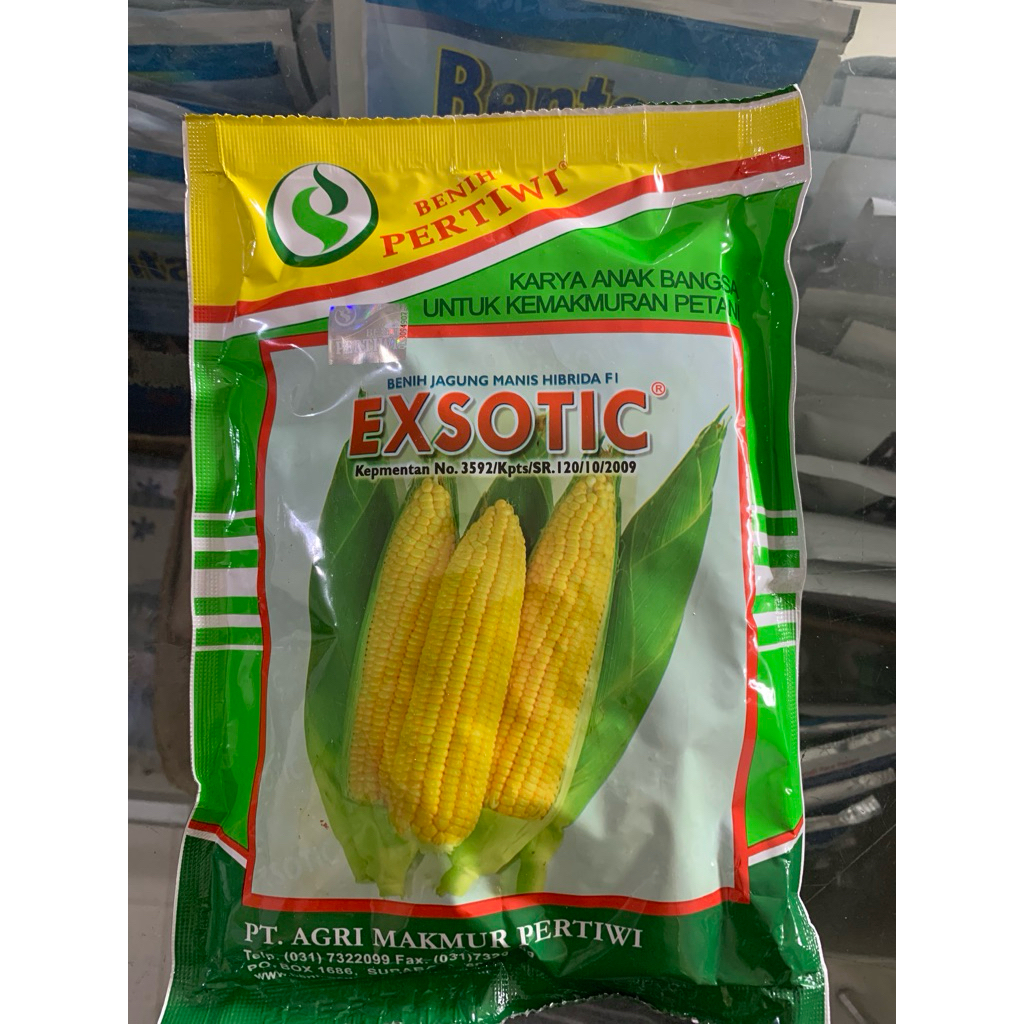 

Jagung manis kuning exsotic exp 2026