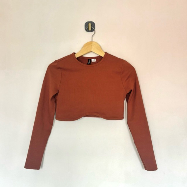 [PRELOVED] HnM Crop Tee Bricks Color