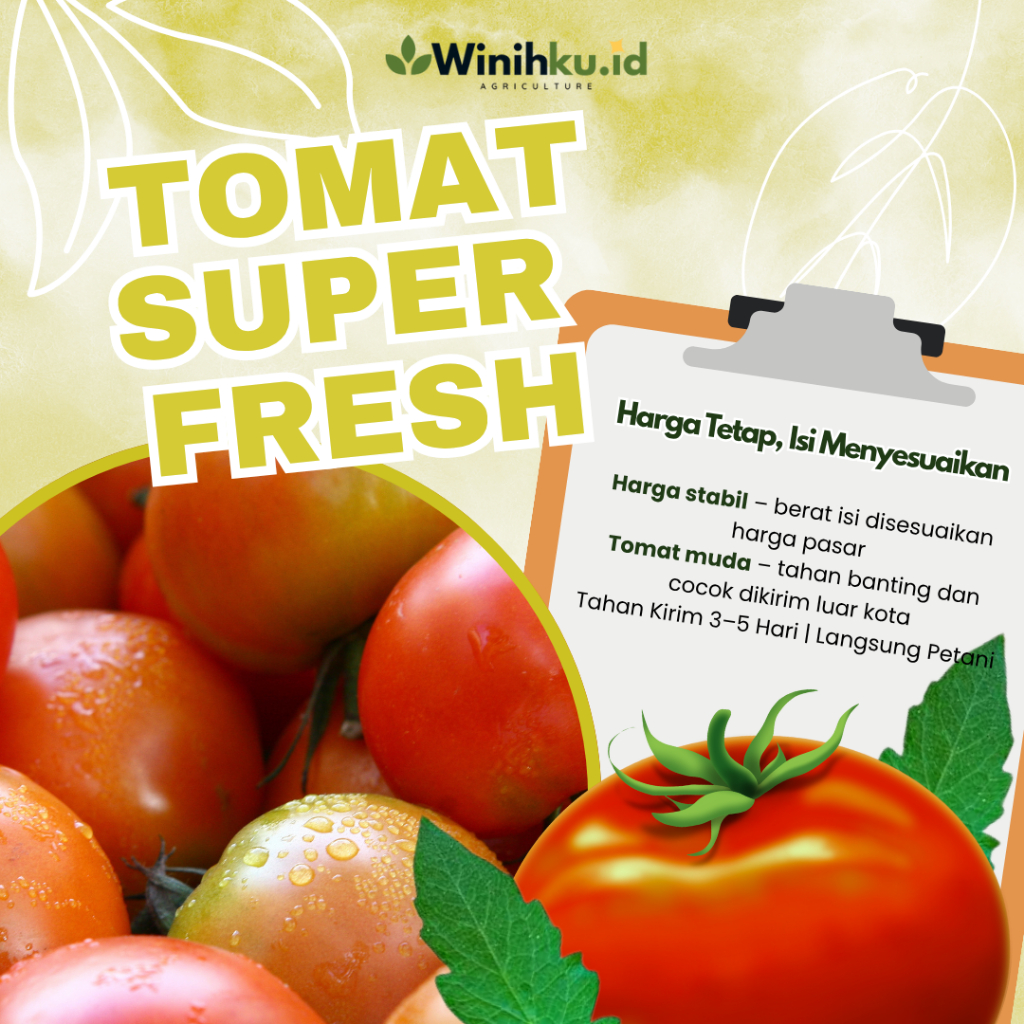 

Winihku.id Tomat Super Fresh Harga Tetap