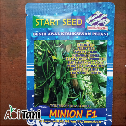 Benih Bibit Timun Unggul Minion F1 Star Seed