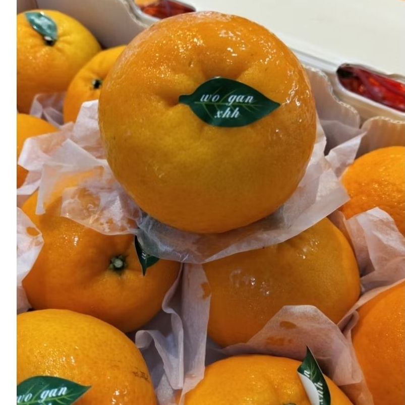 

Jeruk Wogan Mandarin - Jeruk Mandarin 1kg manis segar