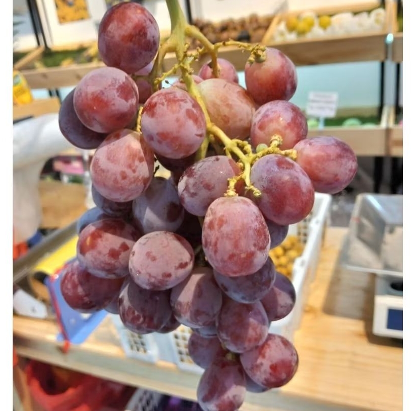 

Buah Anggur Merah 1kg - Anggur Red Globe manis