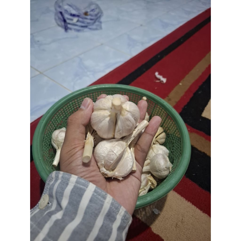 

Bawang Putih Kating bersih 1kg