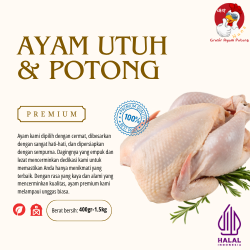 

Ayam Karkas Broiler Semua Ukuran Premium