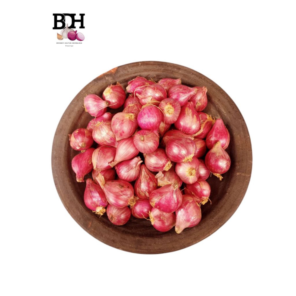 

bawang merah kering tanggung besar
