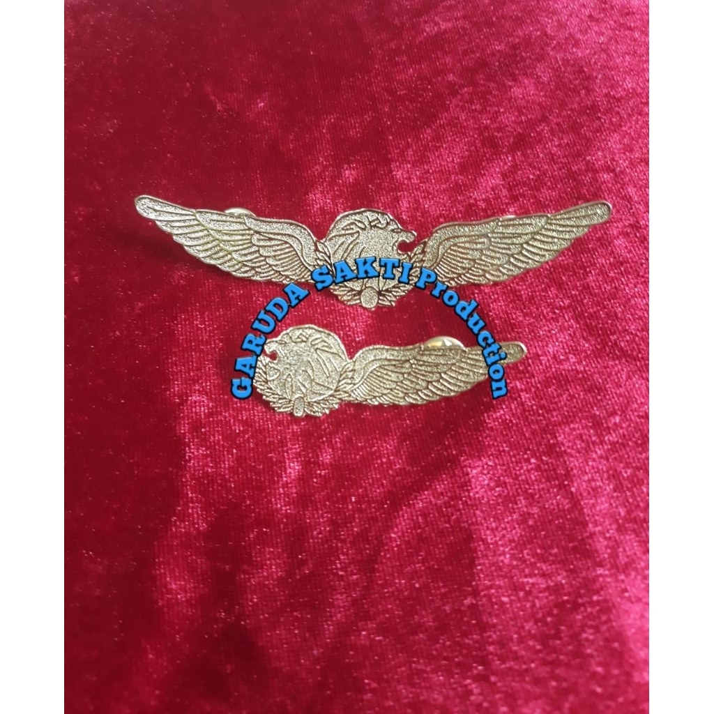 Wings pilot dan pramugari/pramugara lion air