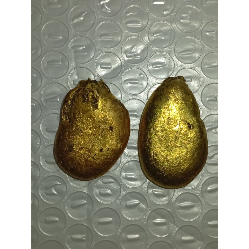 nuget logam emas temuan alam sepasang