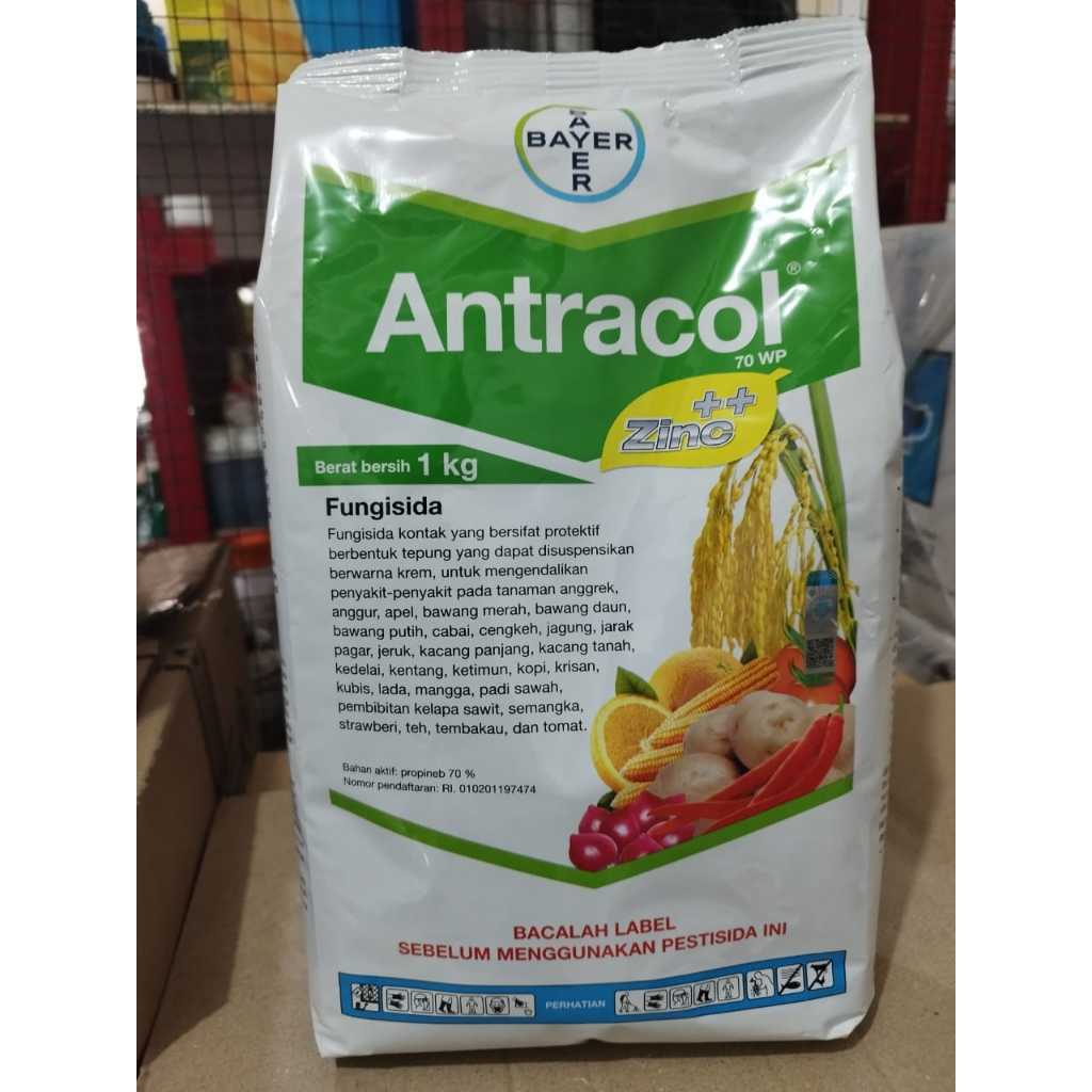 

ANTRACOL 70WP 1Kg ZINC ++ BAYER FUNGISIDA