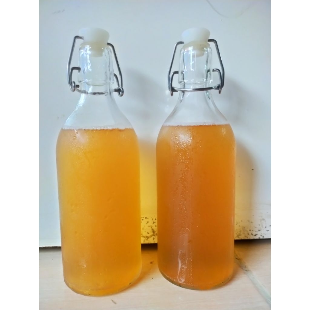 

air kombucha original 500ml premium
