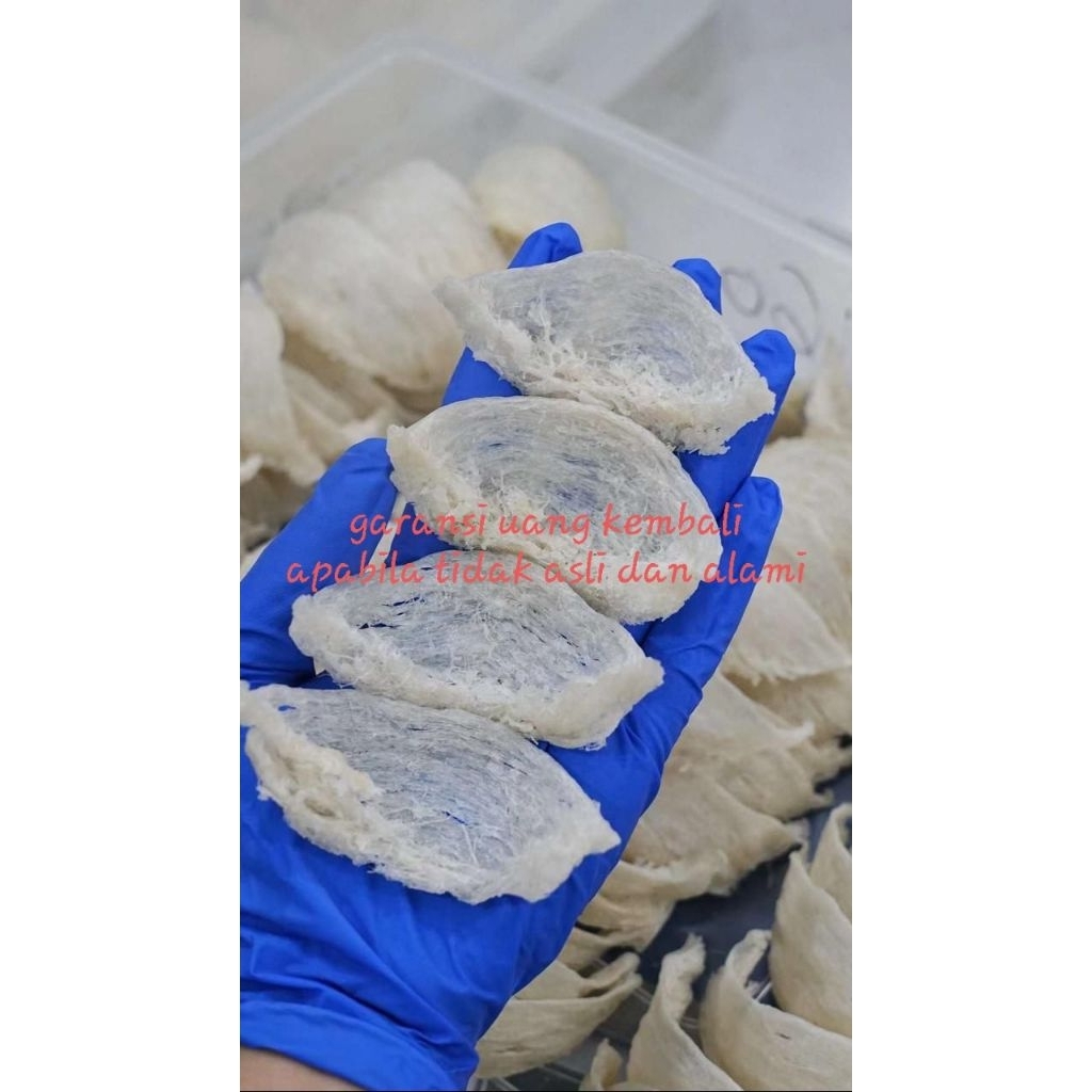 

Sarang Burung Walet Bersih Alami Natural Mangkok Besar Super 100gr