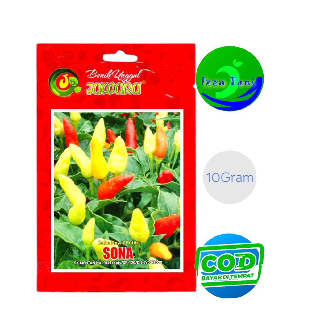 Benih Cabe Rawit Putih Sona Benih Cabai Rawit Tegak Rawit Pedas