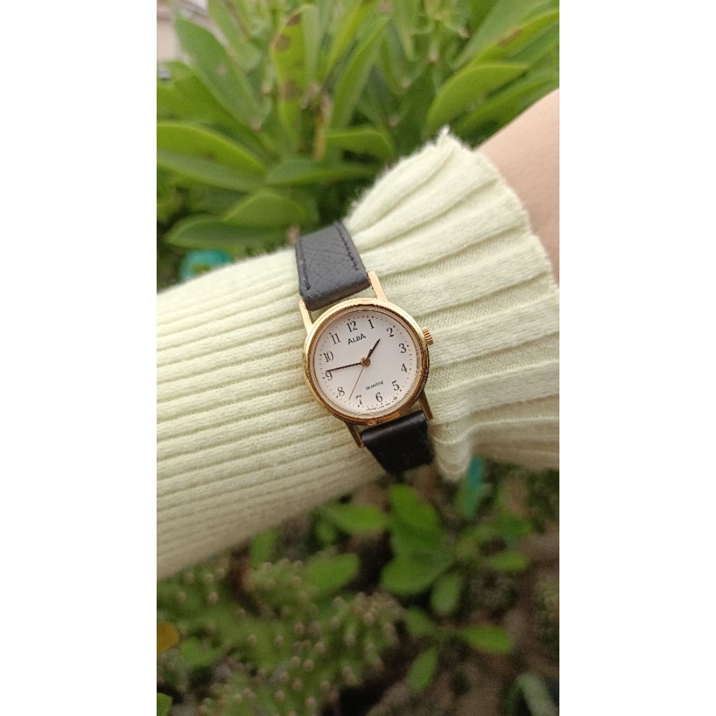 Alba Ladies Watch