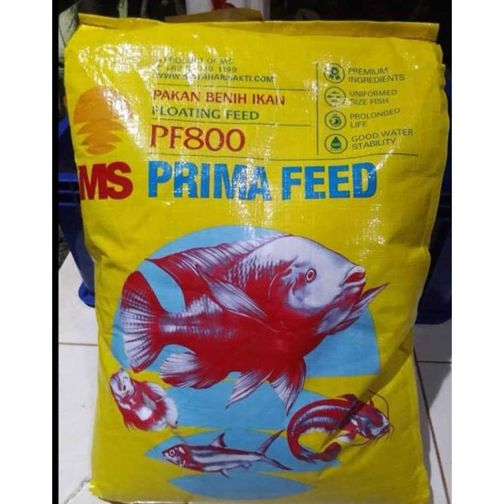 Pakan Ikan PF800 MS Prima Feed Pakan Ikan Bibit