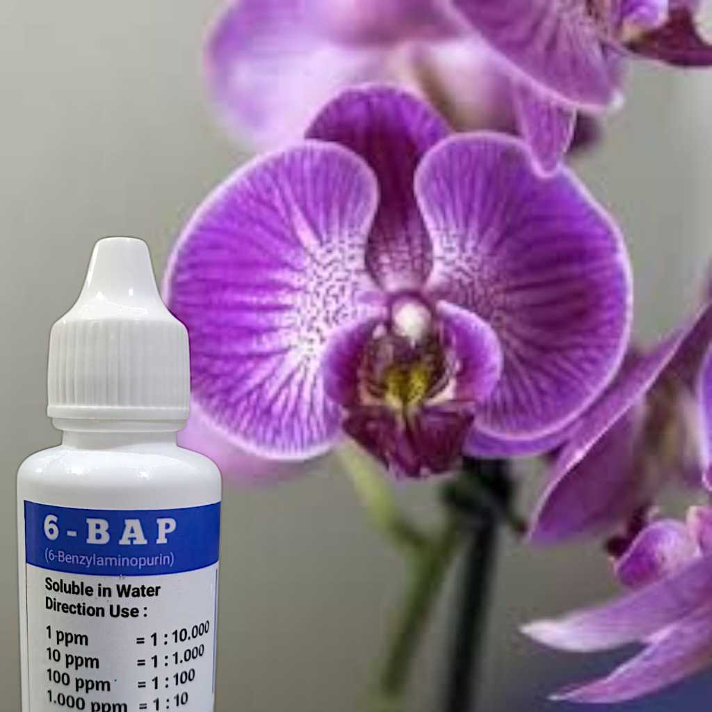 Pupuk Hormon Anggrek BAP. 6-BAP BENZYL AMINO PURIN 10.000 ppm 30 ml