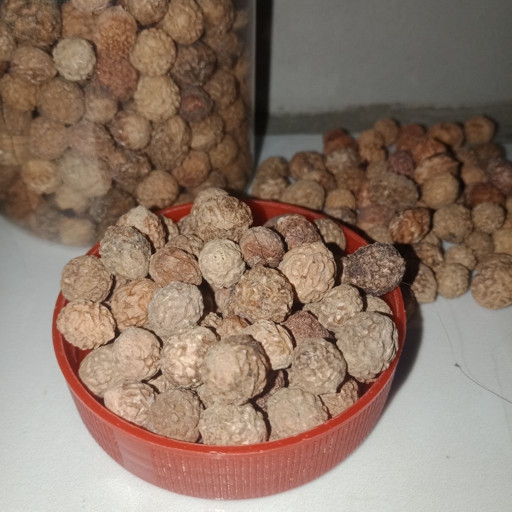 

BIJI BIDARA Belum di kupas (30 butir)