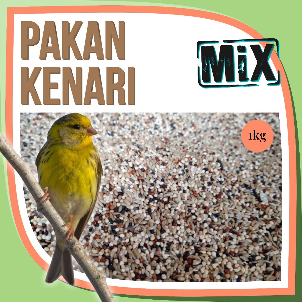 Pakan Kenari 1 Kg Campur Kiloan Premium Tinggi Biji Sawi Kenari Seed Milet Merah Milet Putih