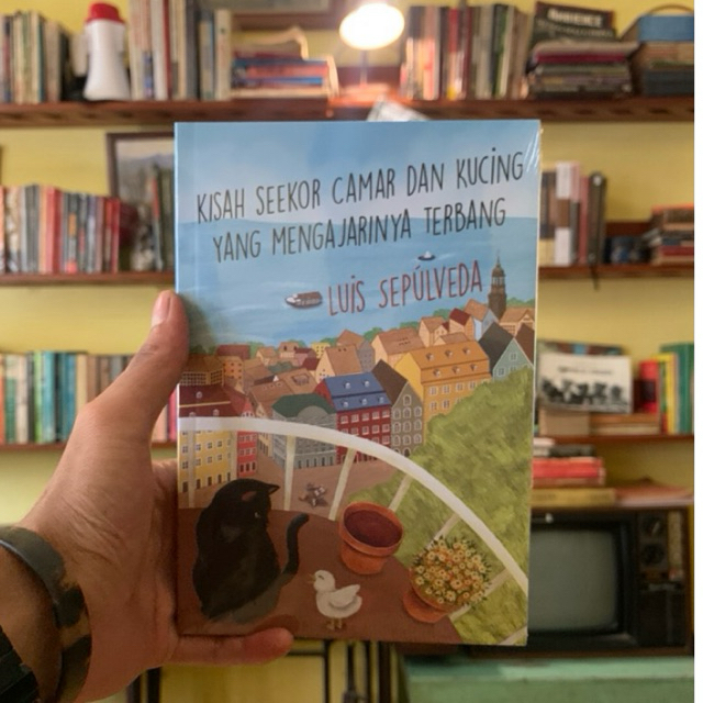 Kisah Seekor Camar dan Kucing Yang Mengajarinya Terbang