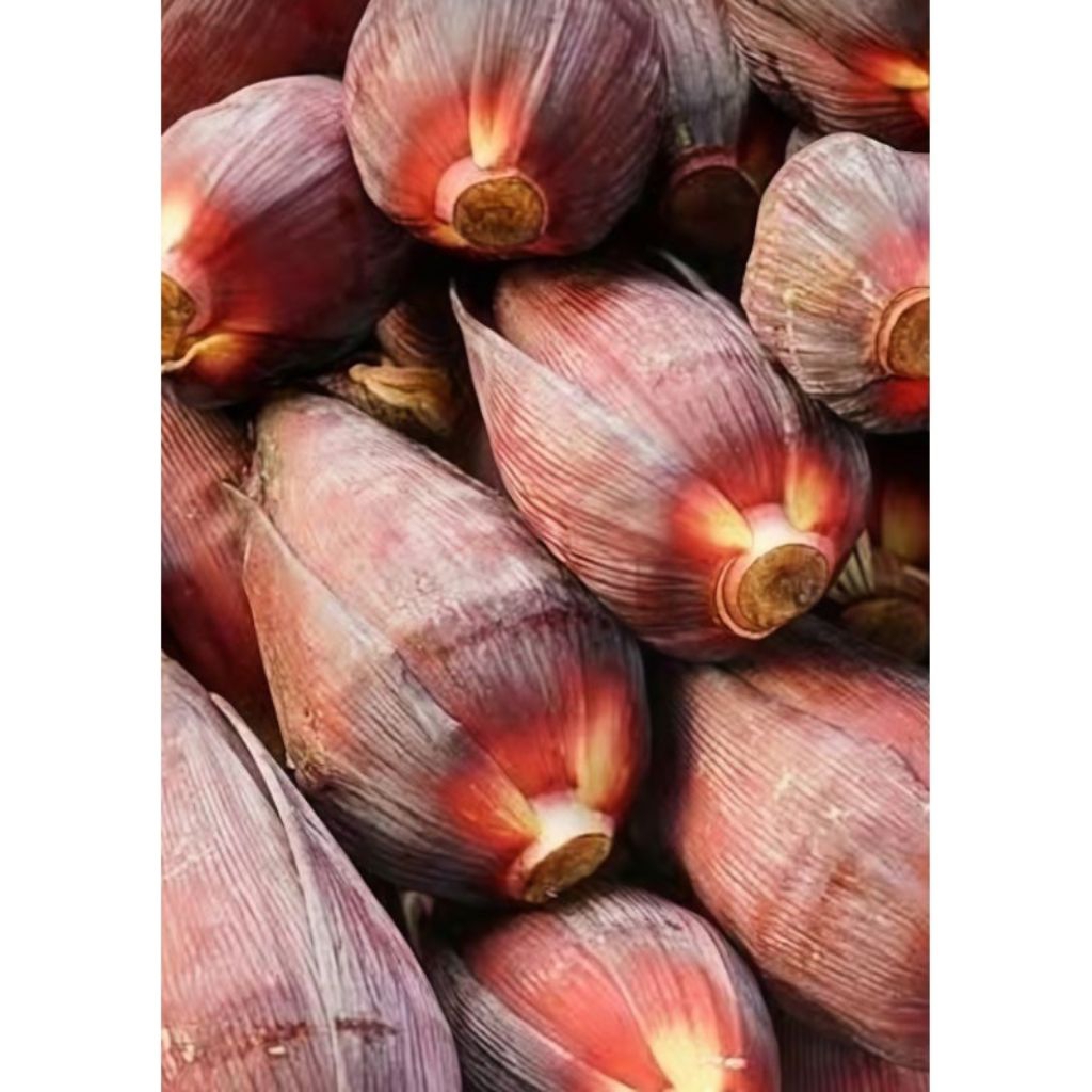 

JANTUNG PISANG KEPOK SAYUR | JANTUNG PISANG ORGANIK READY STOCK ASLI 100% ORIGINAL