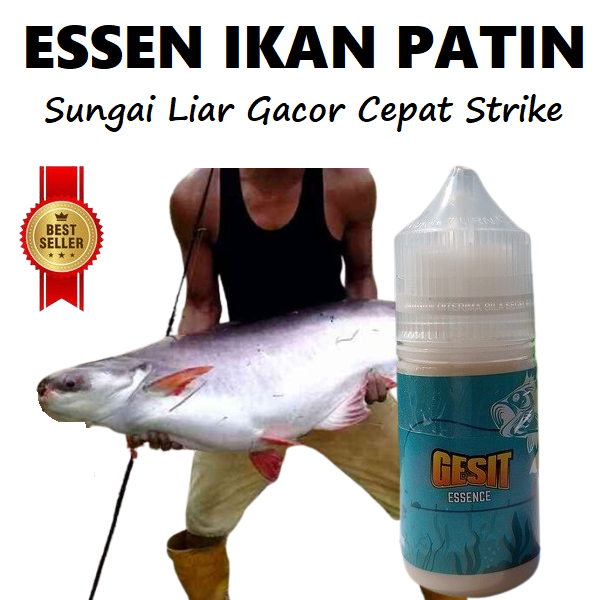Essen Ikan Patin Sungai Paling Cepat Strike Essen Patin Liar Gacor Aroma Kuat