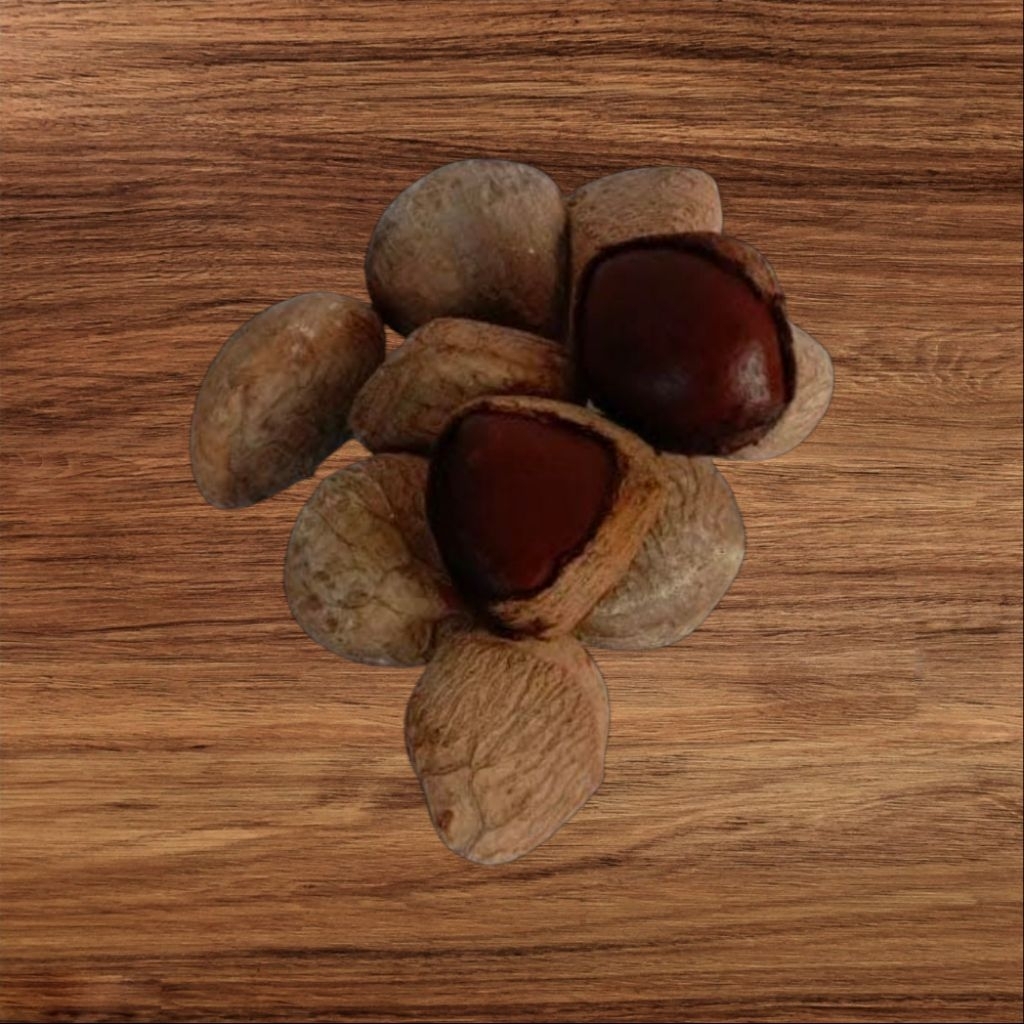 

KLUWEK PUCUNG PICUNG KEPAYANG BUMBU MASAKAN RAWON PENGIRIMAN MALANG JAWA TIMUR