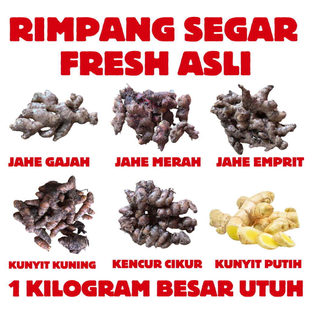 

Rimpang Segar Jahe Merah Asli | Jahe Gajah | Jahe Emprit | Kencur Cikur | Kunyit Kuning Dan Putih