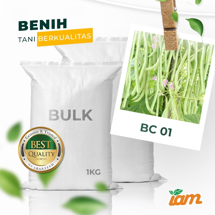 

BULK 1kg – buncis OP (BC 01)