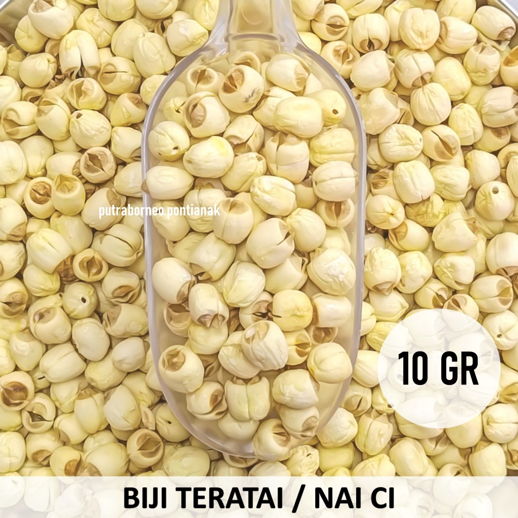 

Biji Teratai 10gr / Lotus Seed / Lianzi / Lienci untuk Masak Sup Tim Ayam / Peach Gum Dessert