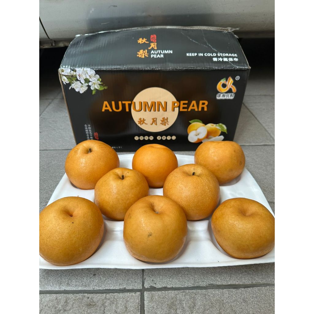 

Buah Pear Pir Autumn 1 Dus (9 KG ) Fresh Import