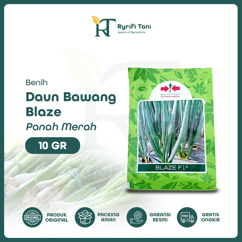 Panah Merah - Benih Daun Bawang BLAZE F1 10 Gram Loncang/Muncang Cap Panah Merah