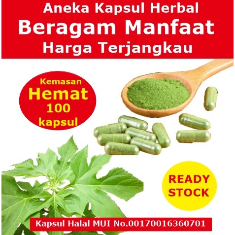 

Kapsul Herbal Sambiloto – 100 Kapsul Penjaga Daya Tahan Tubuh Alami