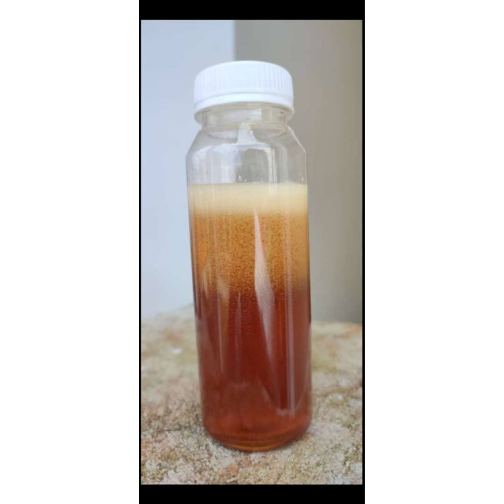 

Madu Hutan 250ml