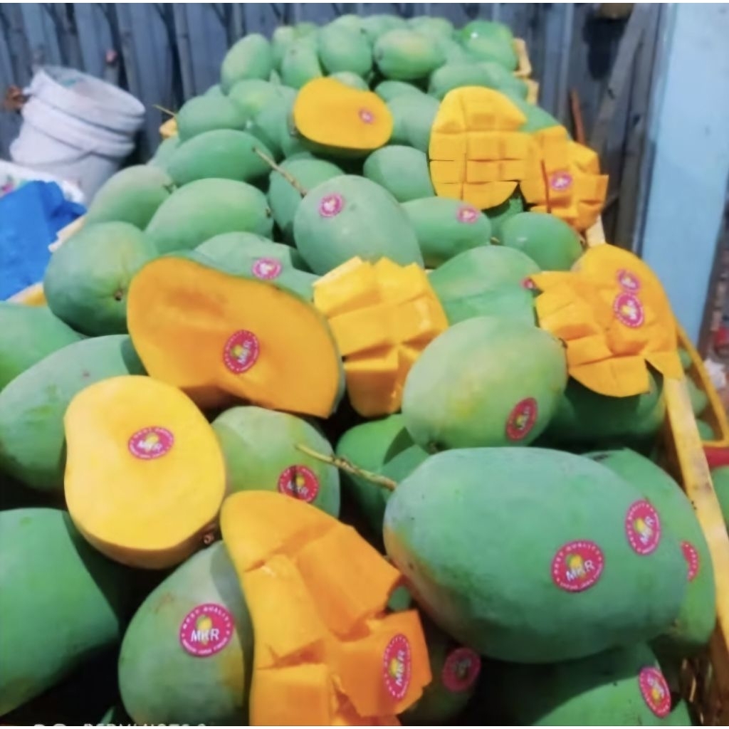 

MANGGA GADUNG FRESH DAN MANIS 1 Kg