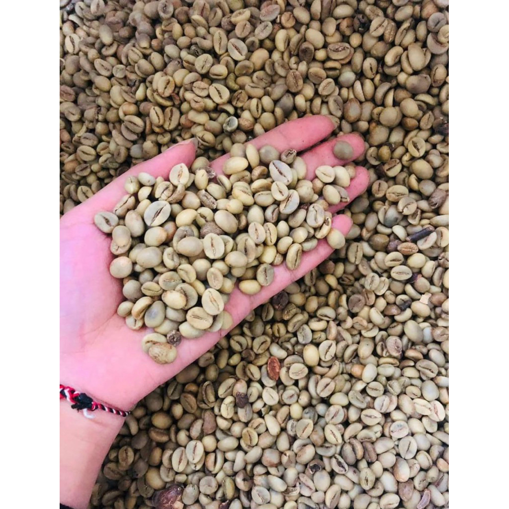 

kopi robusta green beans robusta