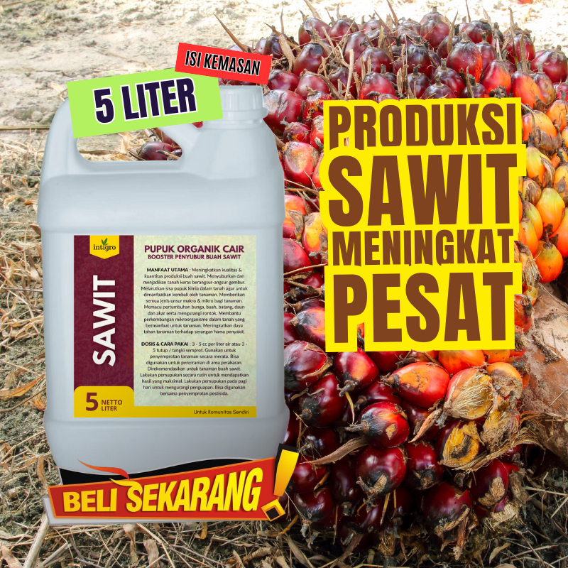_Adudushop Poc Booster Sawit 5 Liter Pupuk Pelebat Buah Sawit Super Cepat Berbuah Besar Cair Agar