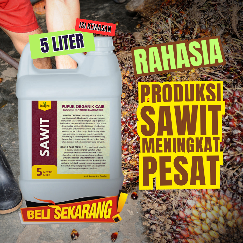 Louay_Idstore Poc Booster Sawit 5 Liter Pupuk Pelebat Buah Sawit Super Cepat Berbuah Besar Cair Agar