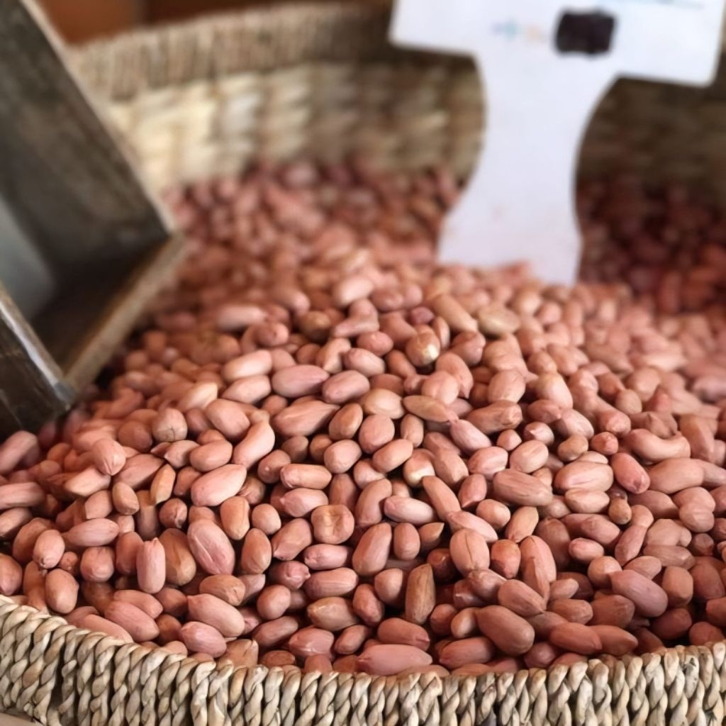 

Kacang tanah mentah 1 kg / Biji kacang merah