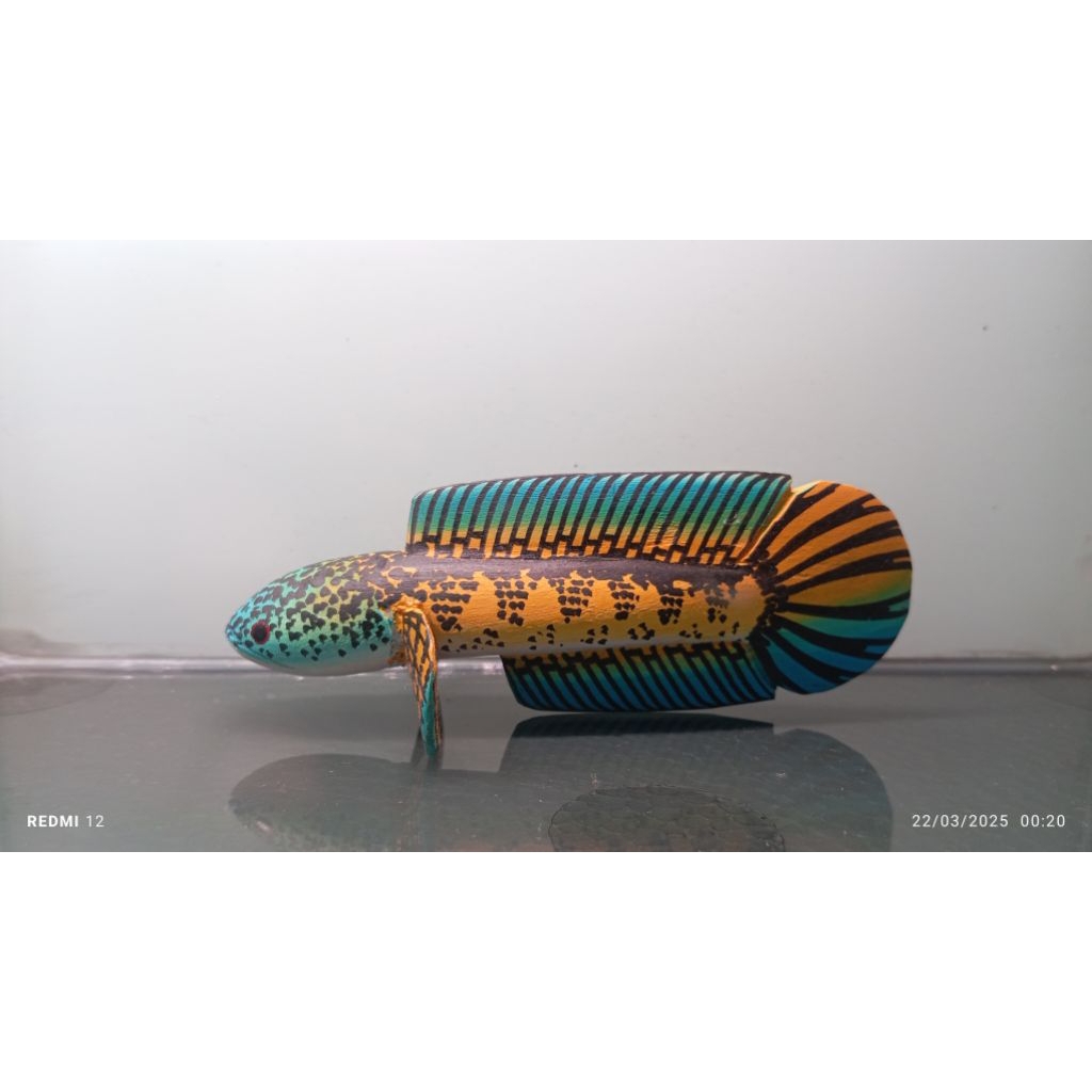 Patung channa auranti ukuran 13 cm