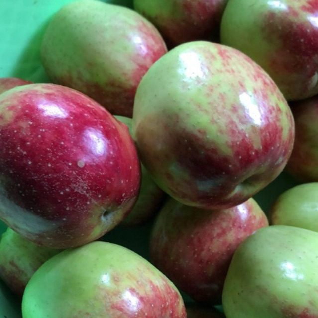 

Apel Anna Batu Malang Segar 1kg