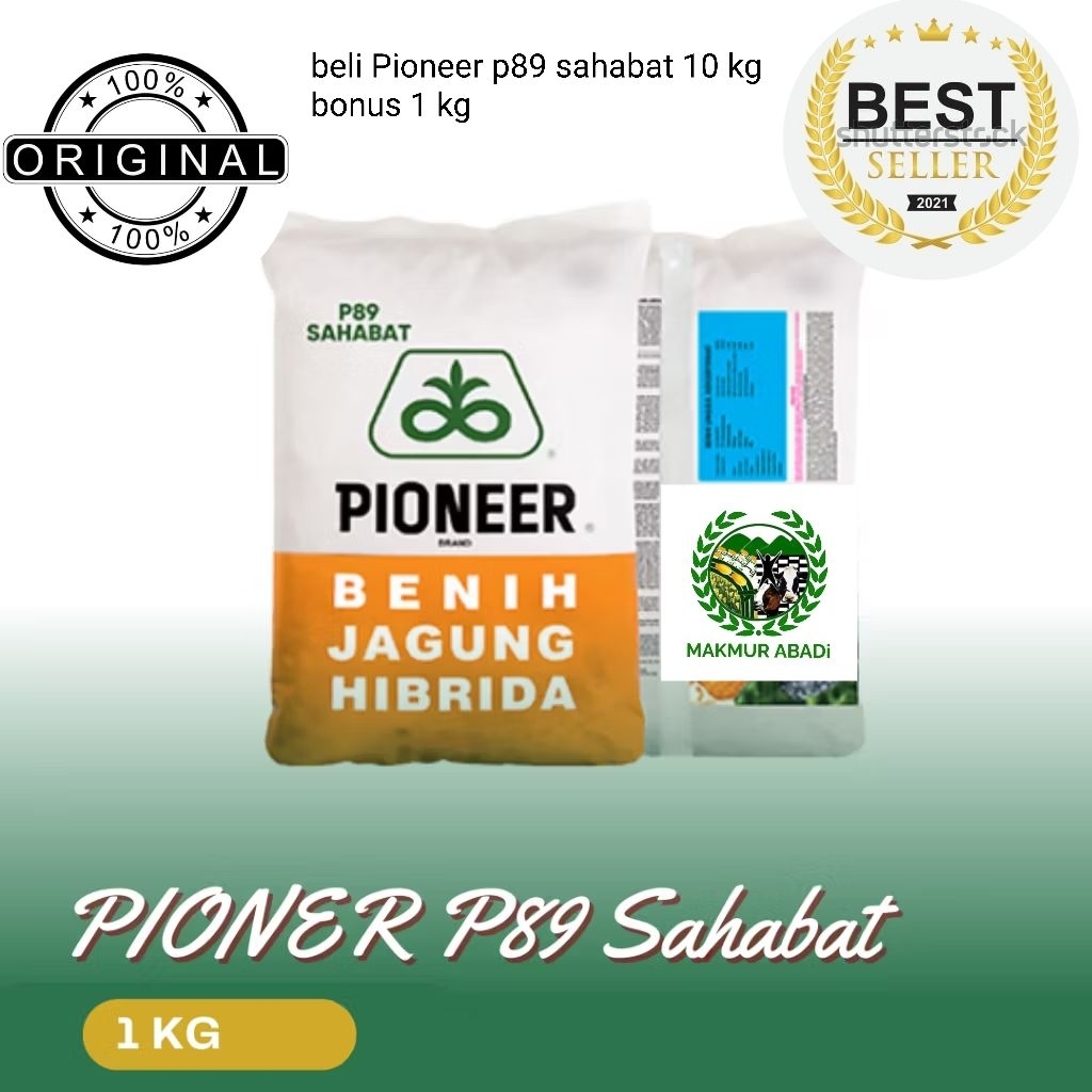 Benih jagung hibrida Pioneer p89 1kg