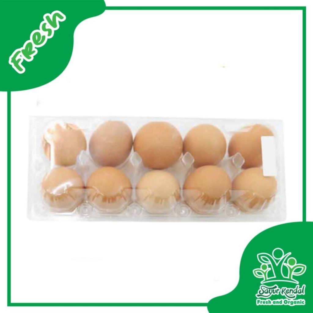 

Telur Ayam Omega 3 - Sayur Kendal